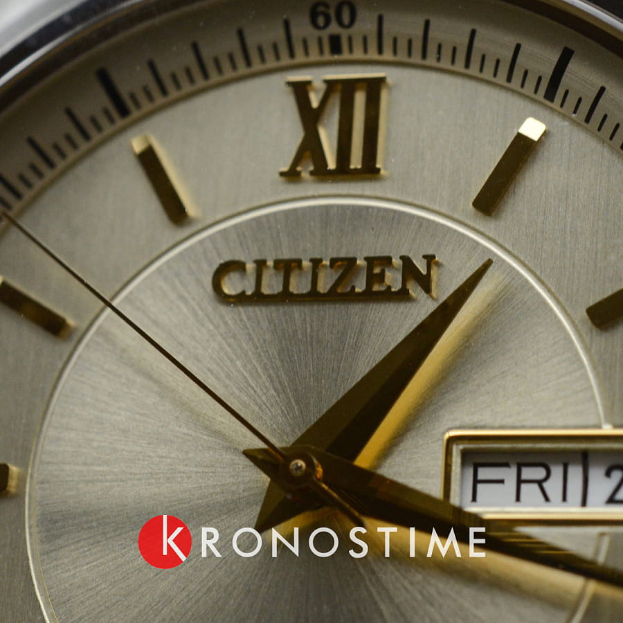 Часы Citizen Collection NY4057-63P — мужские, нержавеющая сталь с ip-покрытием