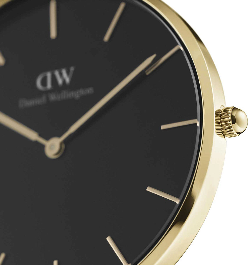Часы Daniel Wellington Petite Evergold DW00100345 — кварцевые, сталь металл