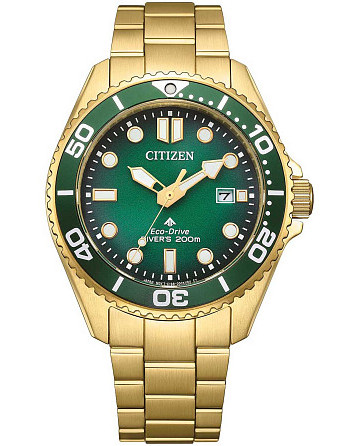 Citizen Promaster BN0262-59W