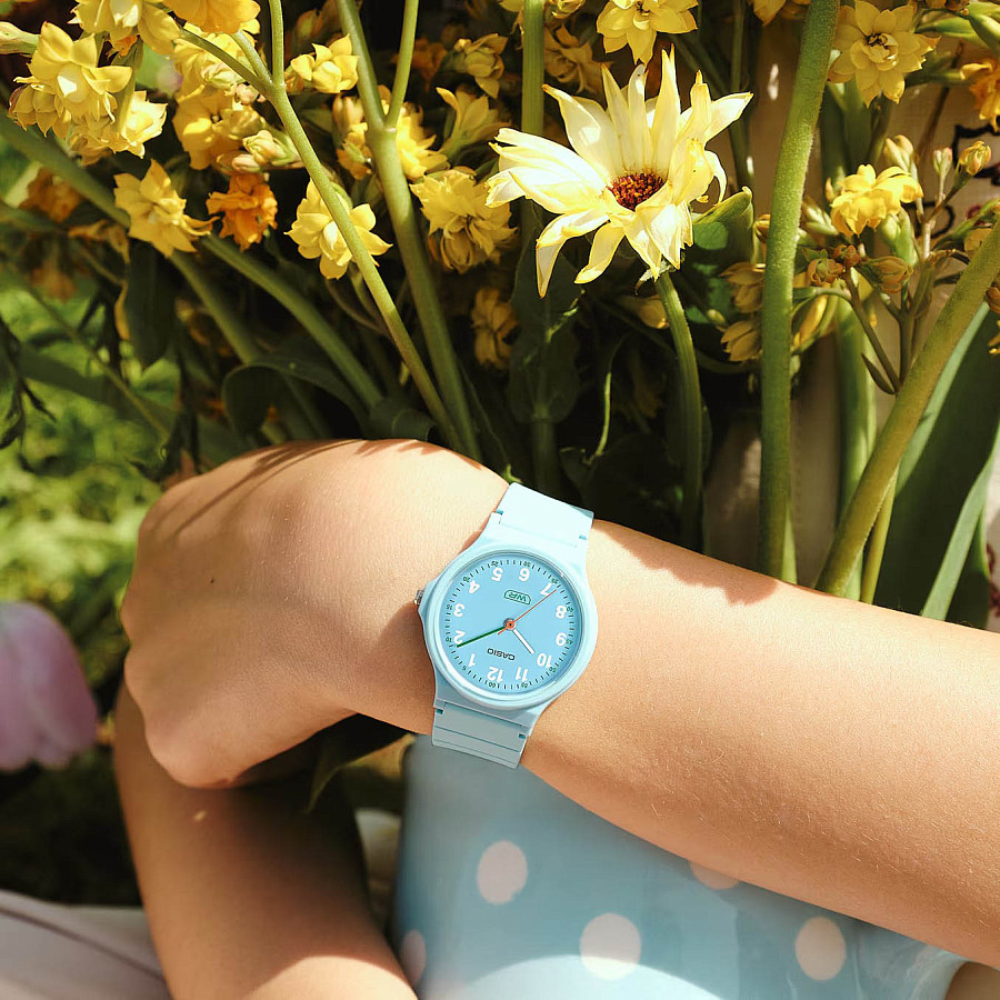 Часы Casio LQ-24B-2B — кварцевые, пластик