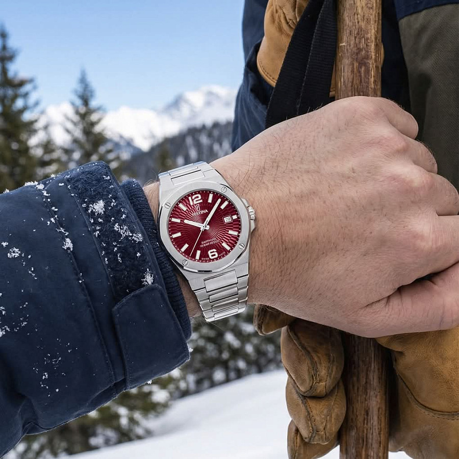 Часы Festina Swiss Made F22000/5 — кварцевые, сталь металл