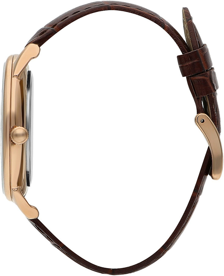 Часы Beverly Hills Polo Club BP3342X.432 — кварцевые, сталь металл