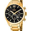 Испанские наручные часы Festina Timeless Chrono F20633/3 с хронографом