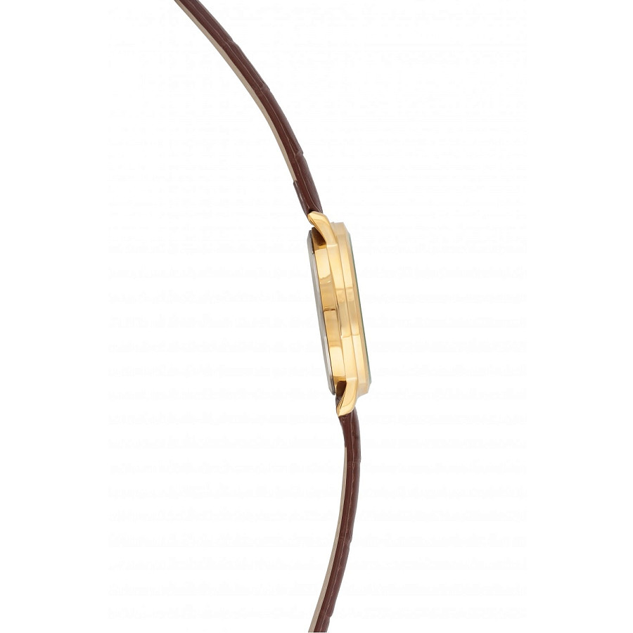 Часы Слава Традиция 2379478/300-2115 — мужские, коричневый