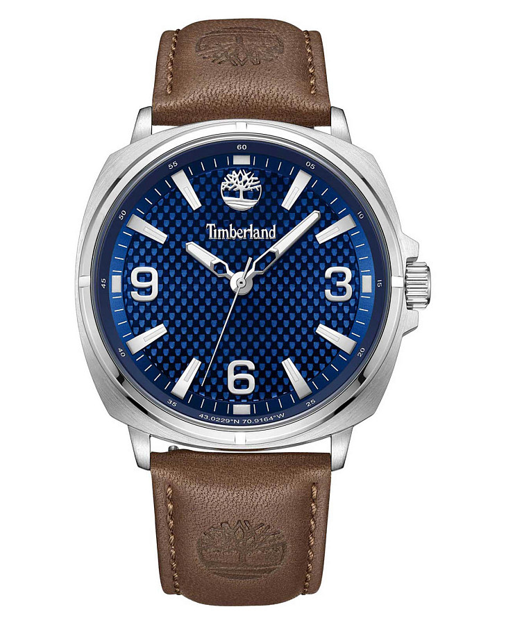 Часы Timberland Bailard TDWGB2201701 — мужские, синий