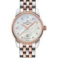 Швейцарские часы Certina DS Podium Lady Automatic 29mm C001.007.22.116.00