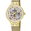Испанские механические наручные часы Festina Automatic F20580/1