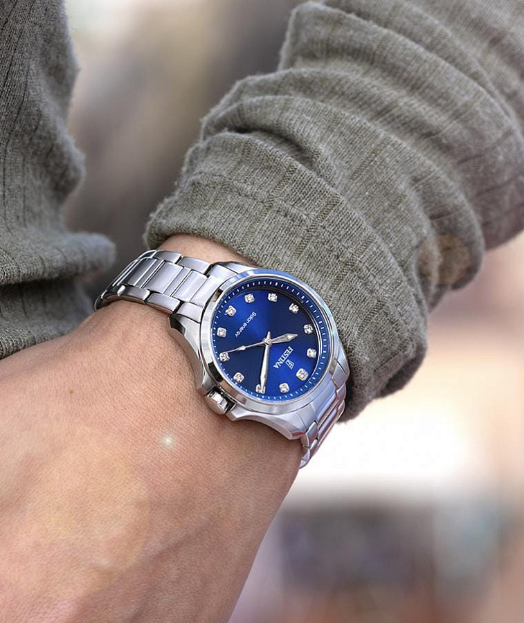 Часы Festina Classics F20654/4 — кварцевые, сталь