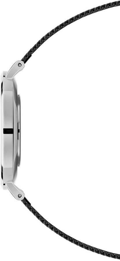 Часы Daniel Wellington Petite Ashfield DW00100308 — сталь металл, Швеция