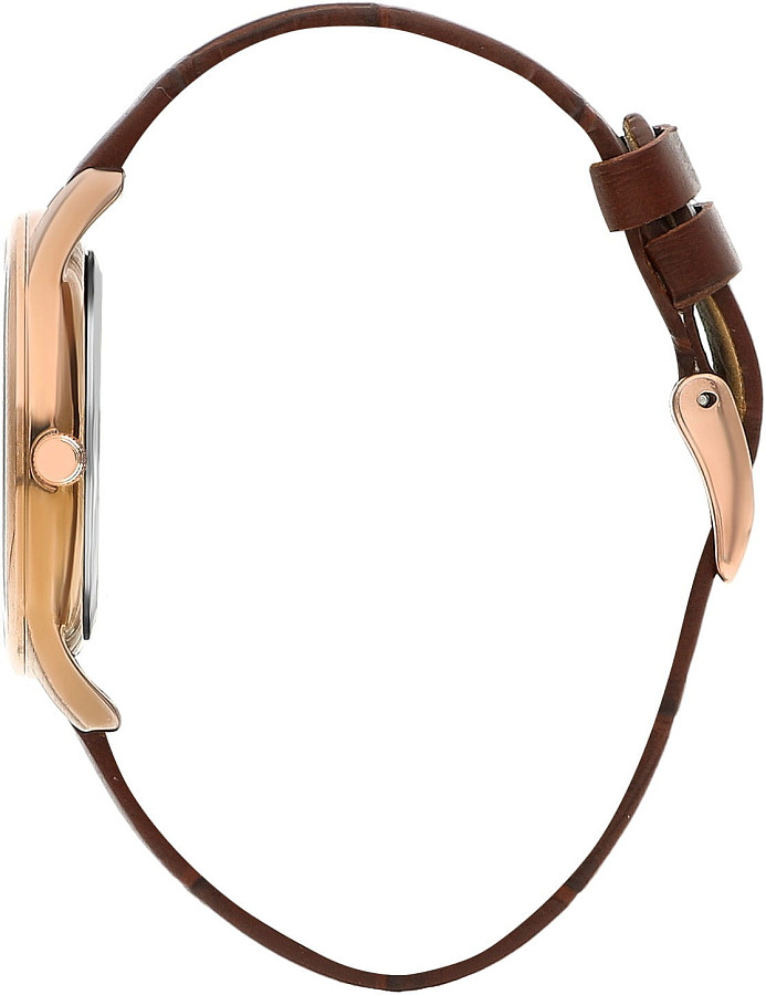 Часы Beverly Hills Polo Club BP3310X.432 — кварцевые, сталь металл