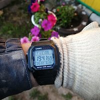 Фото покупателя: Японские часы Casio Collection W-800H-1AVDF (W-800H-1A)