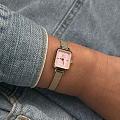 Шведские наручные часы Daniel Wellington Quadro Mini DW00100655, фото 2