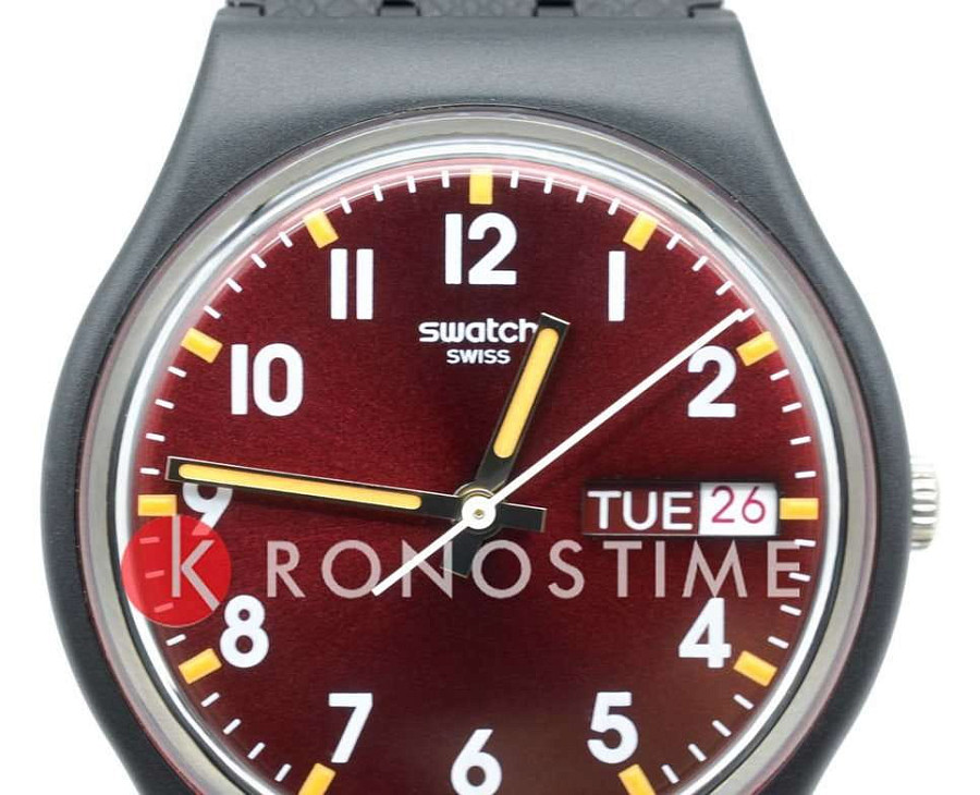 Часы Swatch Gent Biosourced Standard SO28B704 — пластик, Швейцария