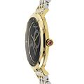 Швейцарские наручные часы Salvatore Ferragamo chic SFYH00421, фото 2