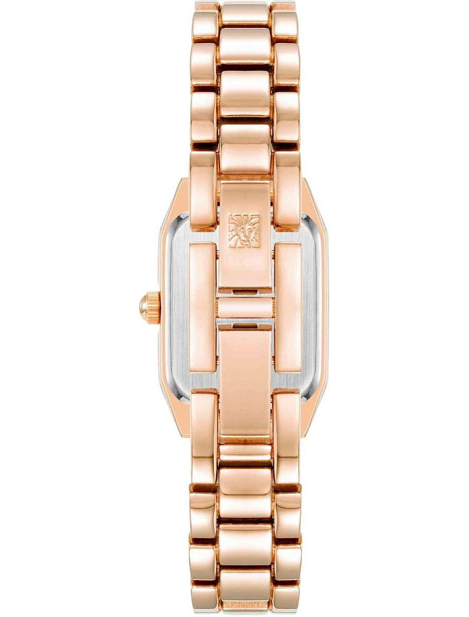 Часы Anne Klein Classic 5018RGRG — металл сталь, США
