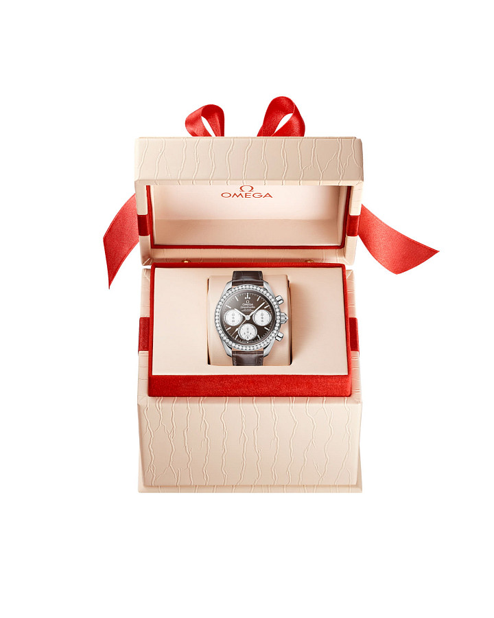 Часы Omega Speedmaster 38 324.18.38.50.63.001 — металл сталь, Швейцария