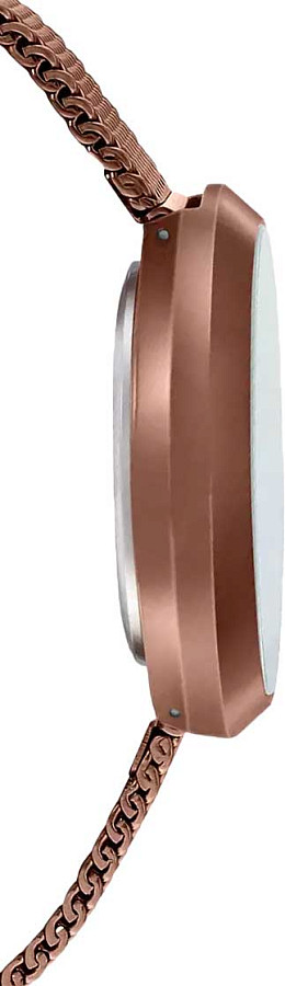 Часы Casio Collection LTP-E154MR-9A — кварцевые, сталь металл