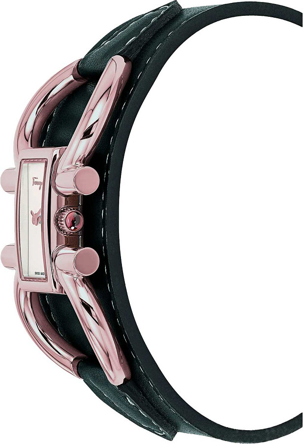 Часы Salvatore Ferragamo SFDO00920 — металл сталь, Швейцария