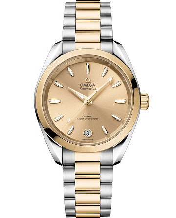 Omega Seamaster Aqua Terra 220.20.34.20.08.001