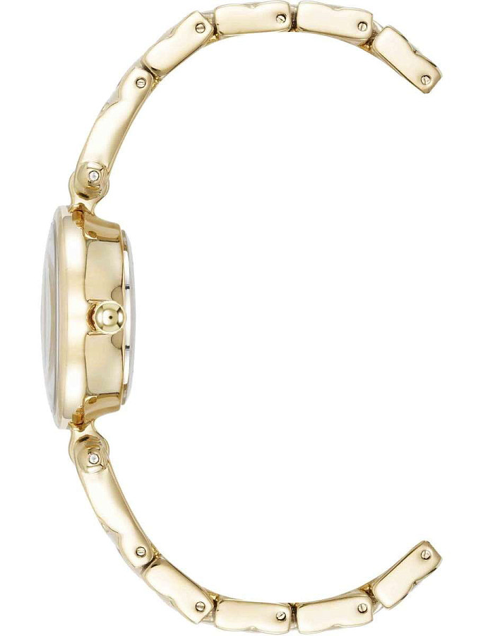 Часы Anne Klein Daily 5422CHGB — кварцевые, металл сталь