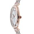 Швейцарские наручные часы Salvatore Ferragamo chic SFYH00521, фото 2