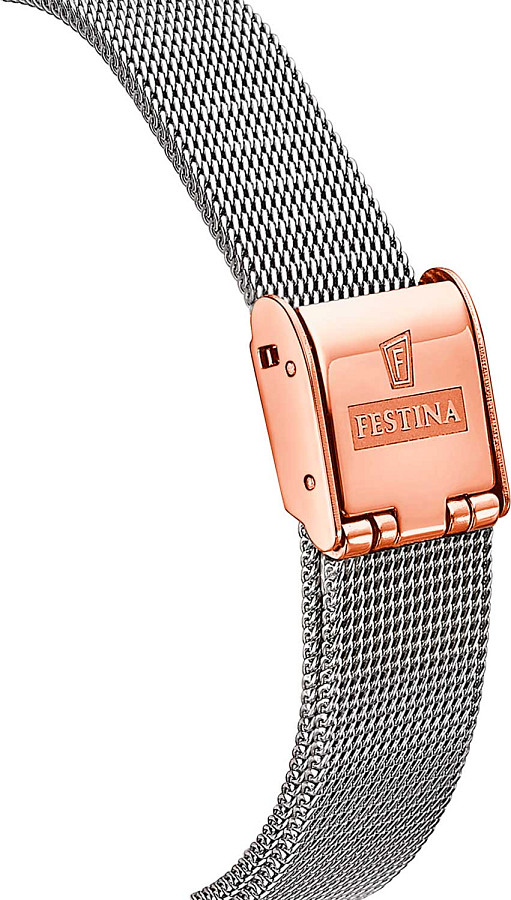 Часы Festina Automatic F20581/1 — механические, металл сталь