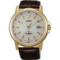 Японские часы Orient WE02001W (FWE02001W)