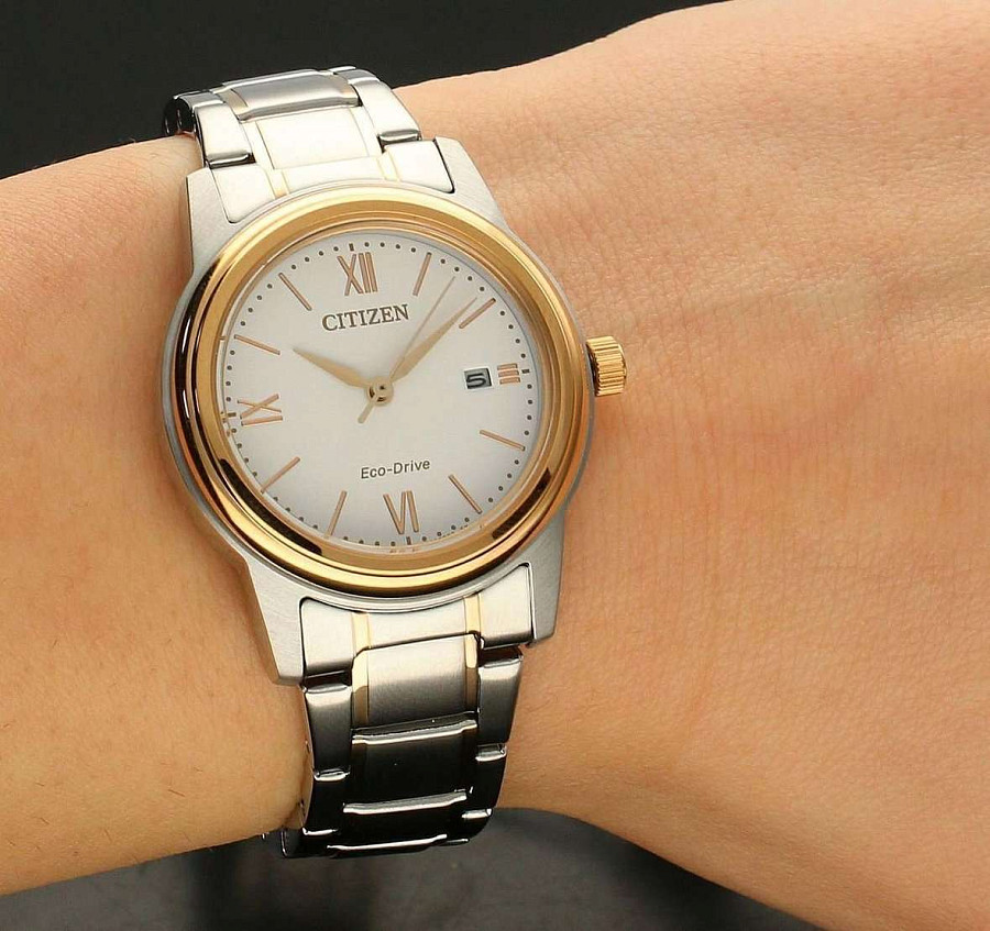Часы Citizen Eco-Drive FE1226-82A — сталь металл, Япония