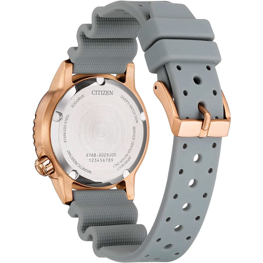 Часы Citizen Promaster EO2023-00W — металл сталь, Япония