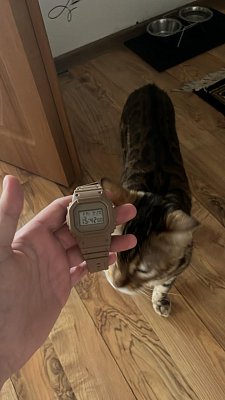 Фото покупателя: Японские наручные часы Casio G-Shock DW-5600NC-5DR (DW-5600NC-5) с хронографом