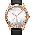Американские наручные часы DKNY Parsons Glitz DK1L059L0025