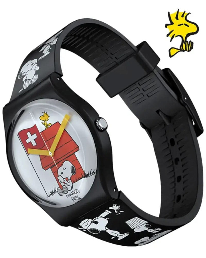 Часы Swatch Gent Biosourced Standart SO28Z107 — кварцевые, пластик