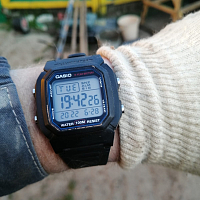 Фото покупателя: Японские часы Casio Collection W-800H-1AVDF (W-800H-1A)