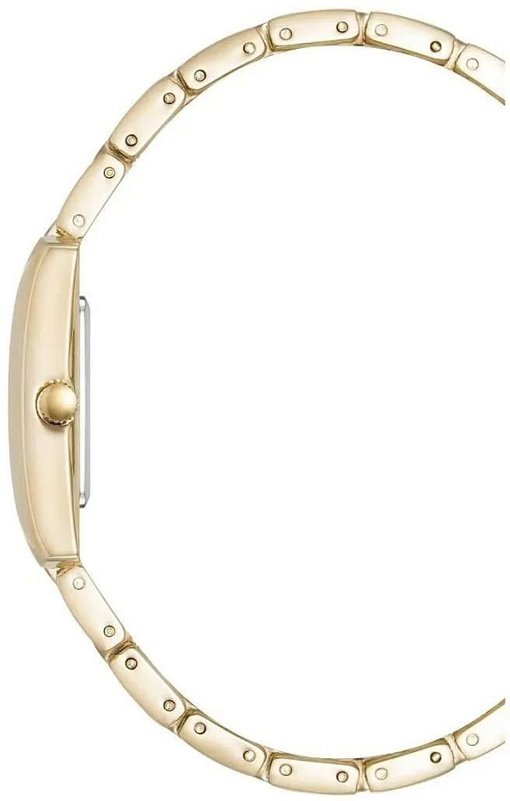 Часы Anne Klein Metals 5114SVGB — кварцевые, металл сталь