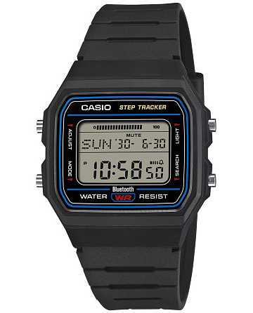Casio F-B100W-1A
