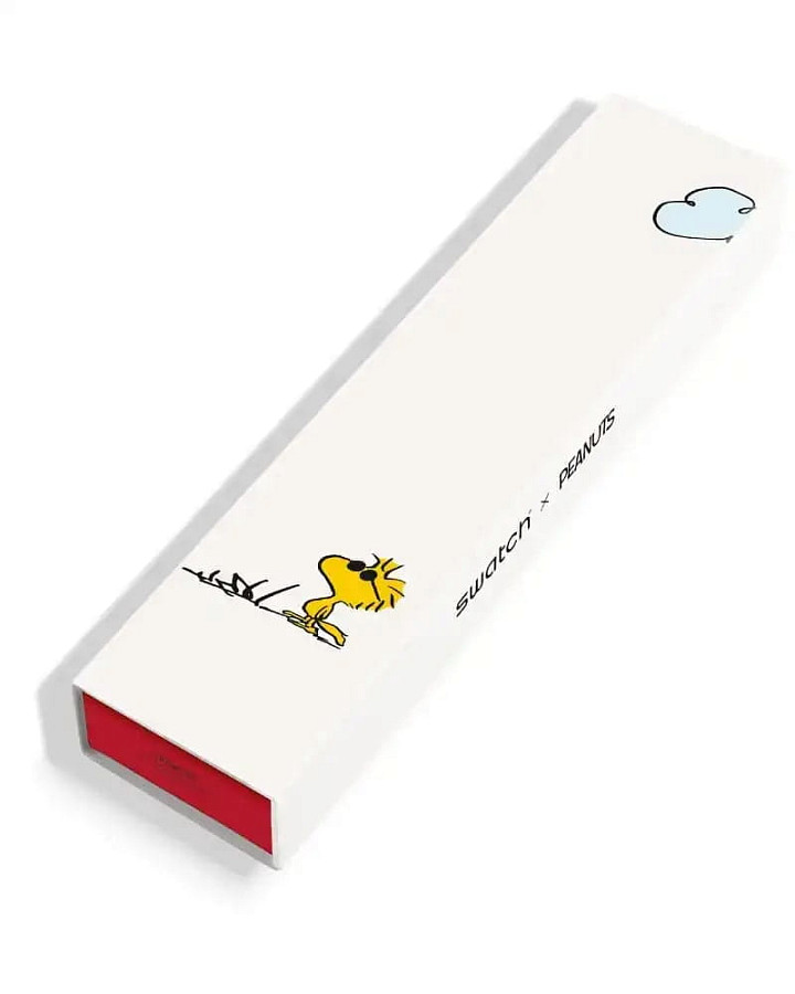 Часы Swatch Gent Biosourced Standart SO28Z107 — Швейцария, кварцевые