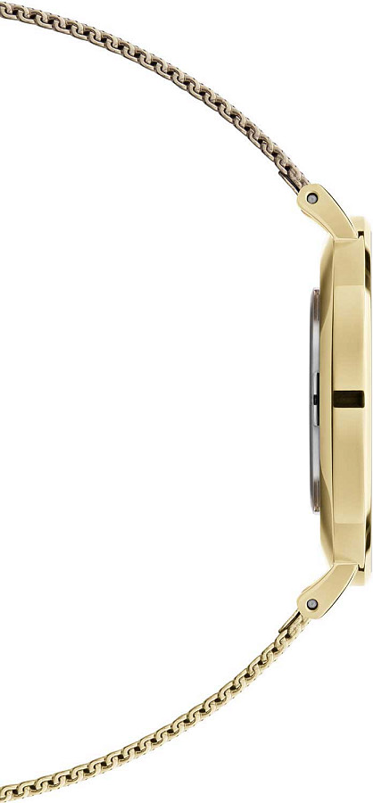 Часы Daniel Wellington Petite Evergold DW00100346 — сталь c pvd покрытием, женские