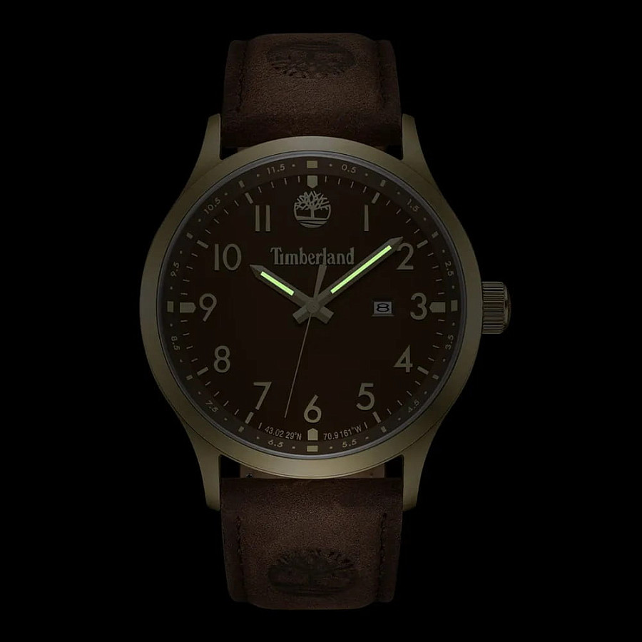Часы Timberland Trumbull TDWGB0010104 — кожаный, мужские