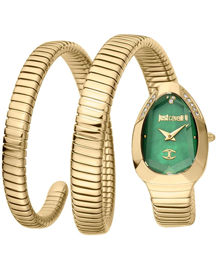 Часы Just Cavalli Snake JC1L209M0045 — женские, зеленый