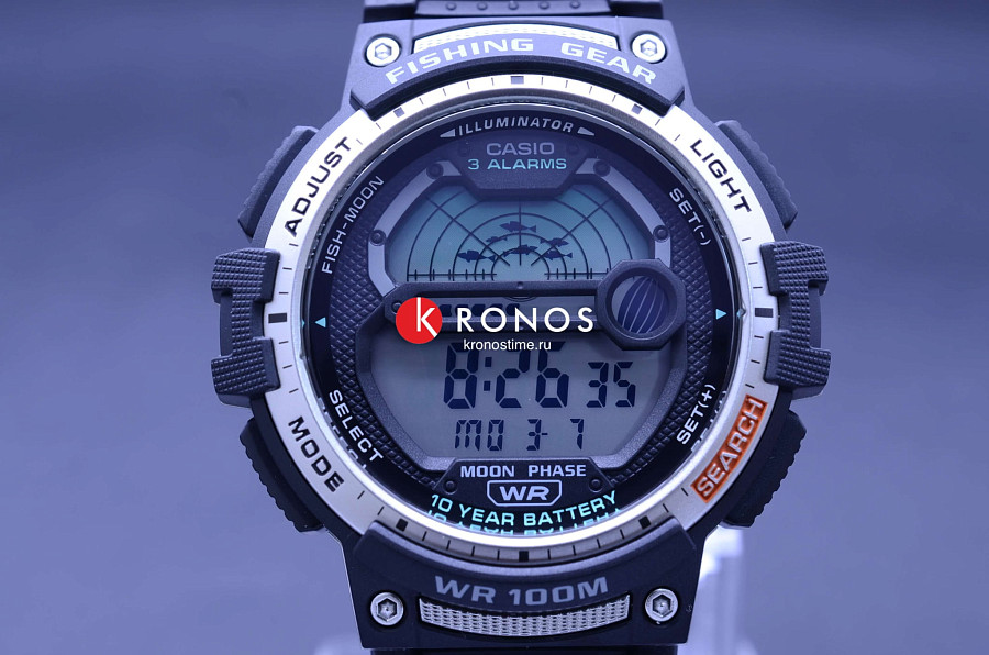 Часы Casio Collection WS-1200H-1A — кварцевые, пластик