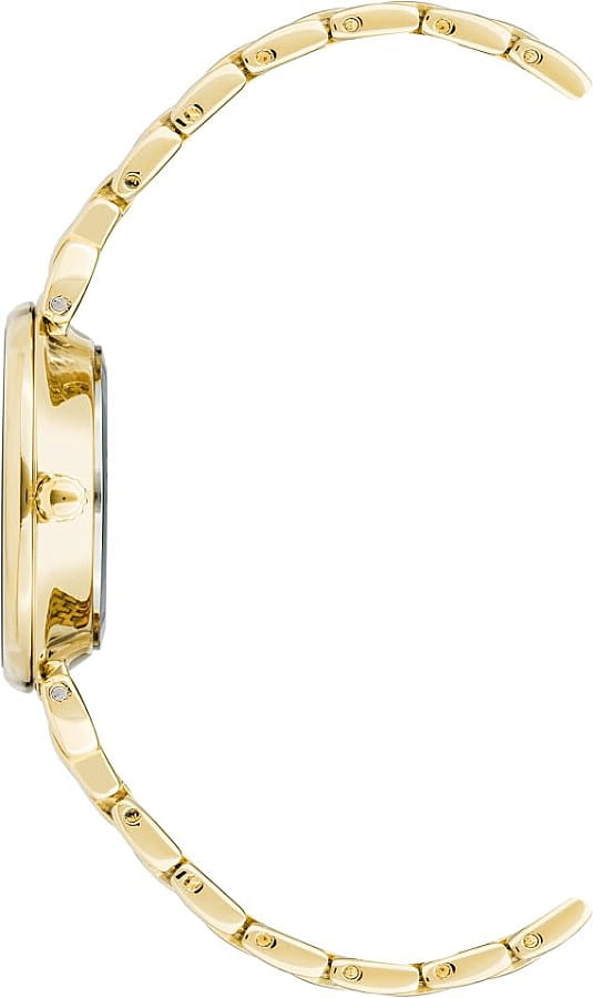 Часы Anne Klein Daily 2158MPGB — кварцевые, металл сталь