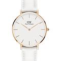 Шведские наручные часы Daniel Wellington Petite Bondi DW00100189