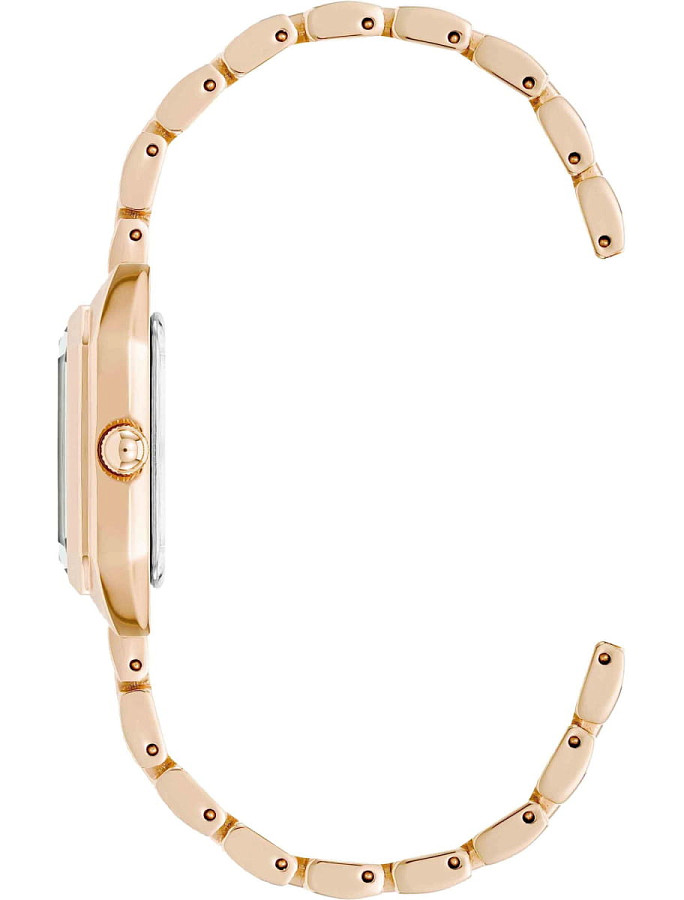 Часы Anne Klein Classic 5018RGRG — кварцевые, металл сталь