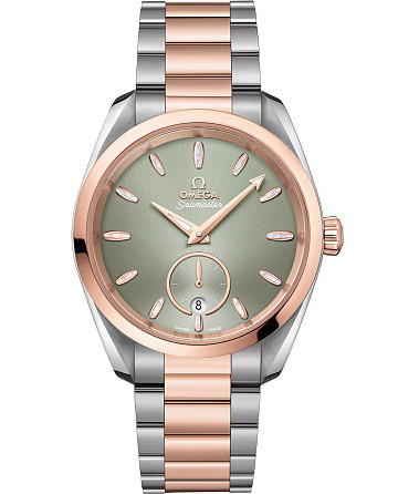 Omega Seamaster Aqua Terra 220.20.38.20.10.001