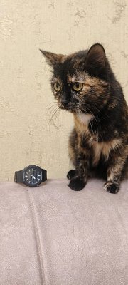 Фото покупателя: Японские наручные часы Casio G-Shock GA-2100-1ADR (GA-2100-1A) с хронографом