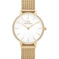 Шведские наручные часы Daniel Wellington Petite Lumine Bezel Evergold DW00100662