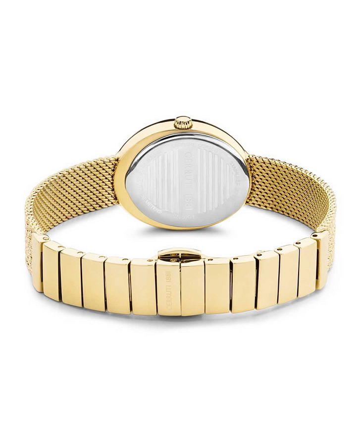 Часы Cerruti 1881 Nemi CIWLG0012501 — сталь металл, Франция