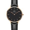 Шведские наручные часы Daniel Wellington Petite Sheffield DW00100224