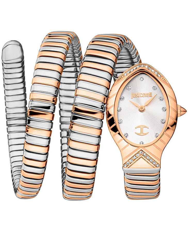 Часы Just Cavalli Classico Lungo JC1L248M0075 — женские, серебристый
