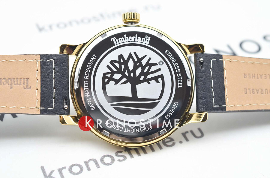 Часы Timberland Driscoll TDWGB0055902 — мужские, кожаный